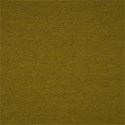 Jersey di Cotone con Righe larghe 1mm, Ocra - Bianco