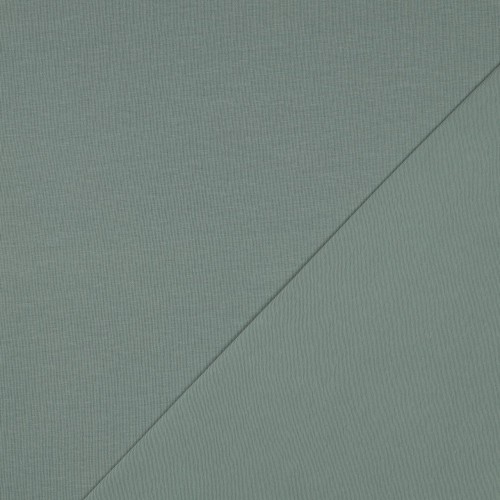 Jersey di Cotone Biologico GOTS, Verde Menta