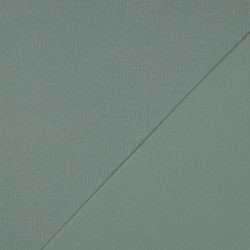 Jersey di Cotone Biologico GOTS, Verde Menta