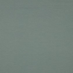 Jersey di Cotone Biologico GOTS, Verde Menta